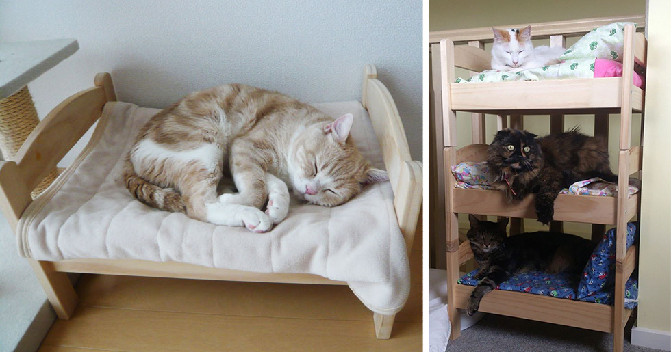 Human Like Dog Beds Human Like Dog Beds