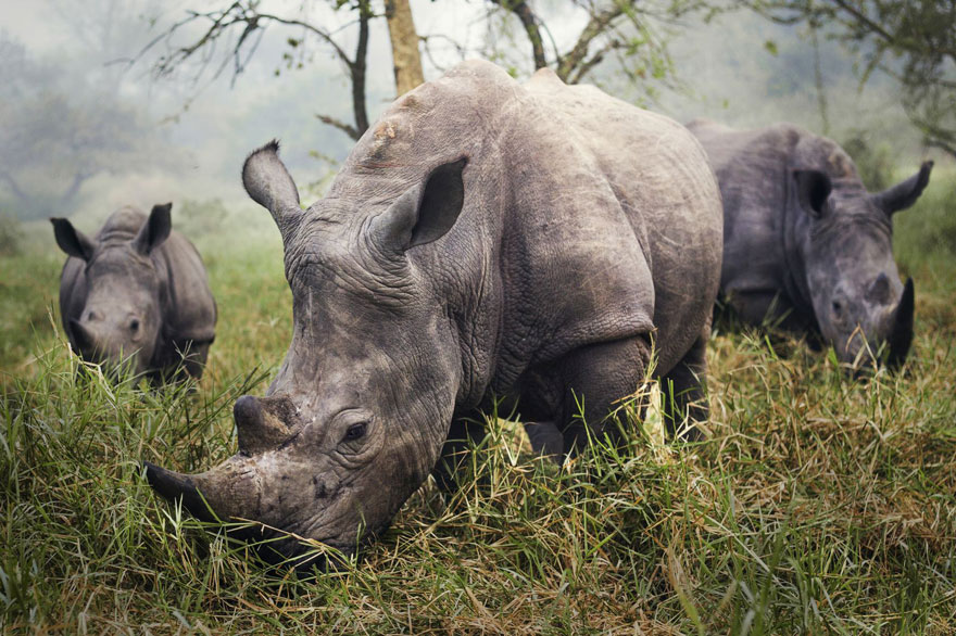 ganadores-concurso-fotos-viajeros-national-geographic-2015 (2)