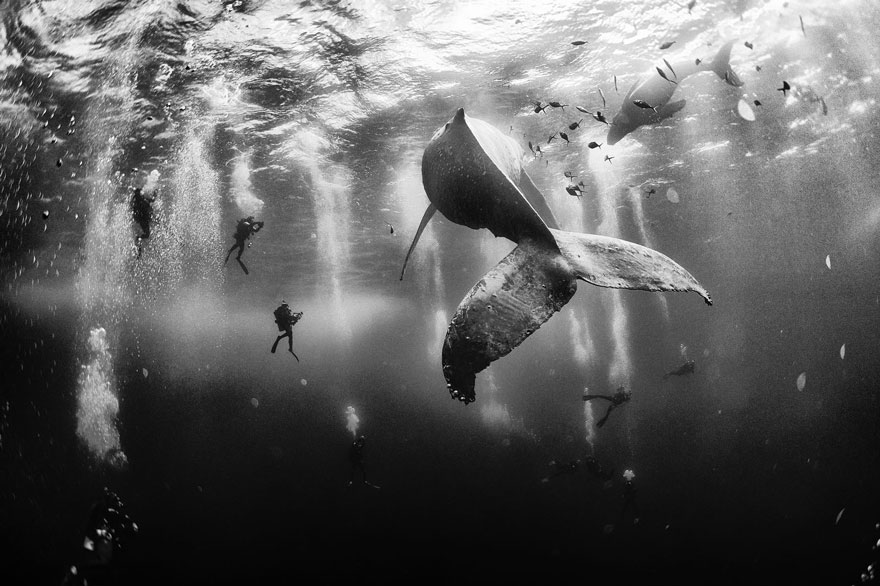 ganadores-concurso-fotos-viajeros-national-geographic-2015 (8)