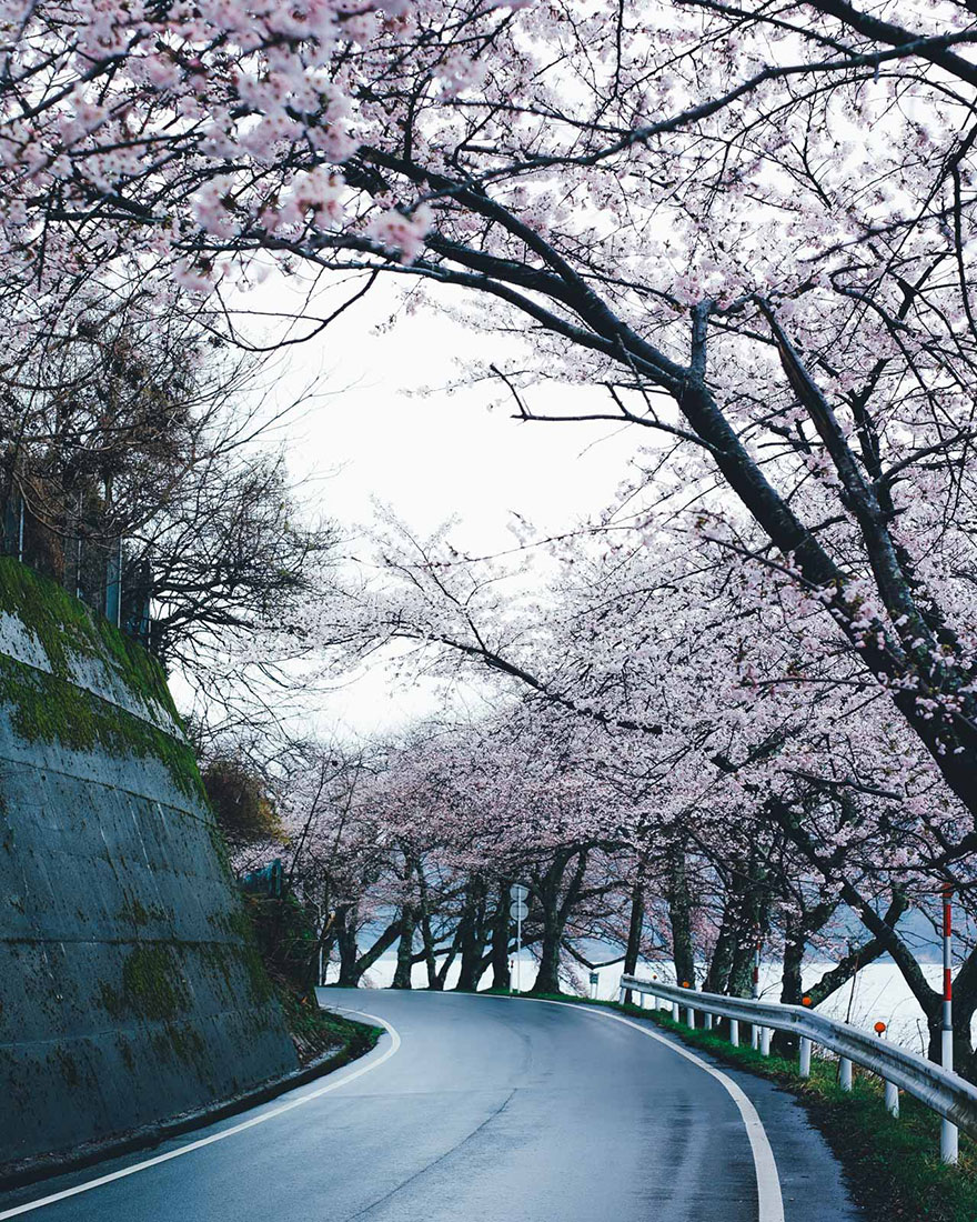 fotografia-vida-cotidiana-japon-takashi-yasui (1)