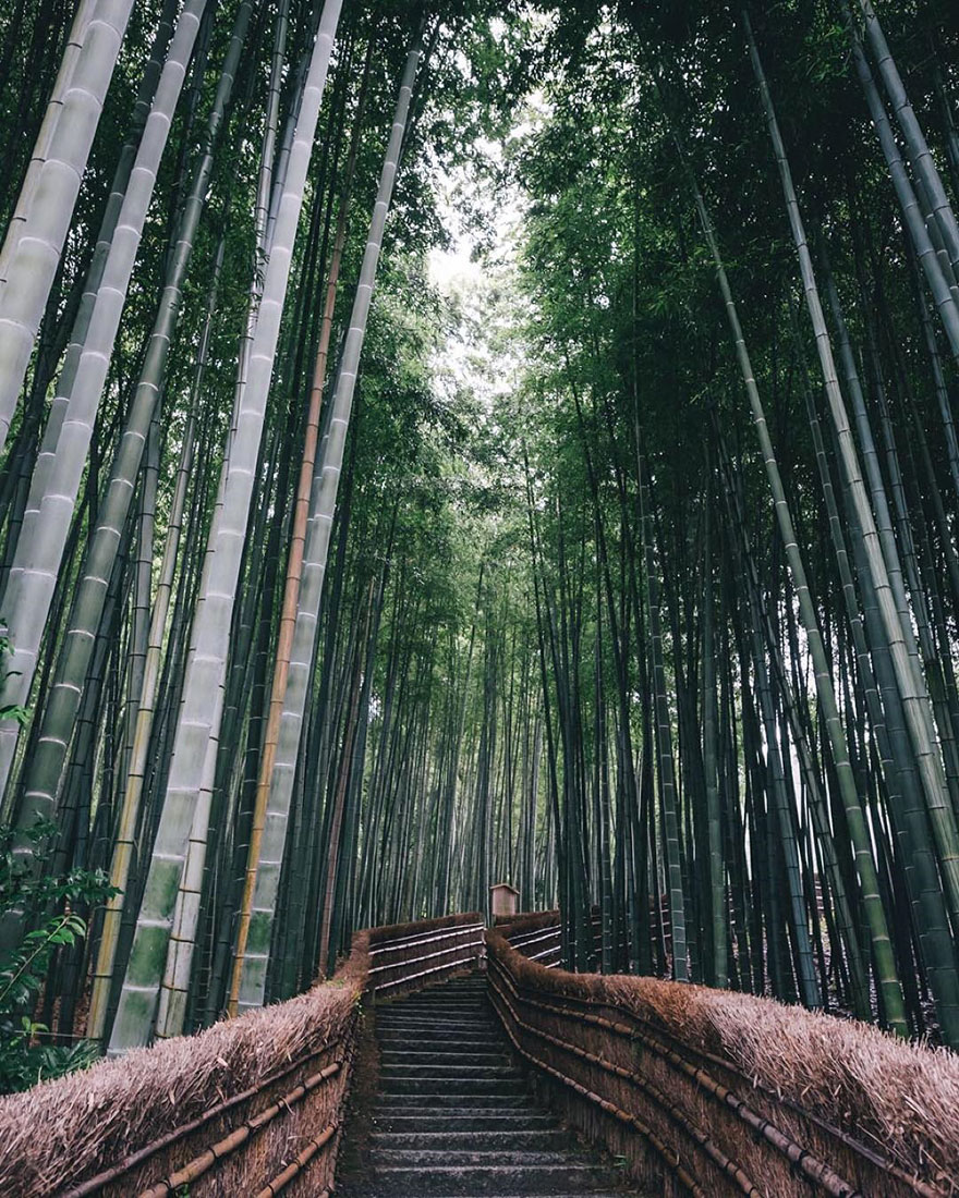 fotografia-vida-cotidiana-japon-takashi-yasui (12)