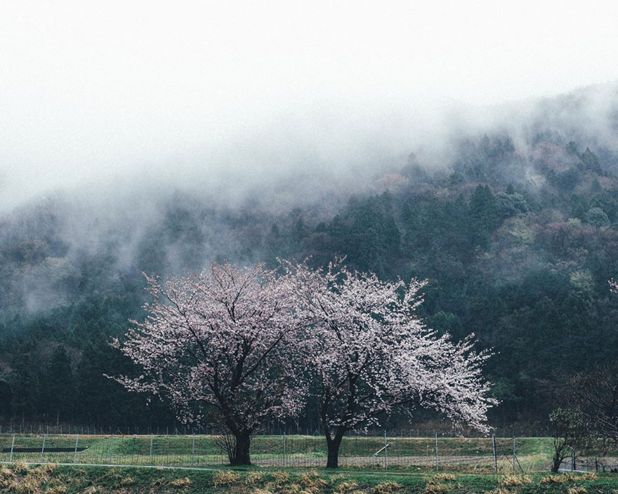 fotografia-vida-cotidiana-japon-takashi-yasui (13)