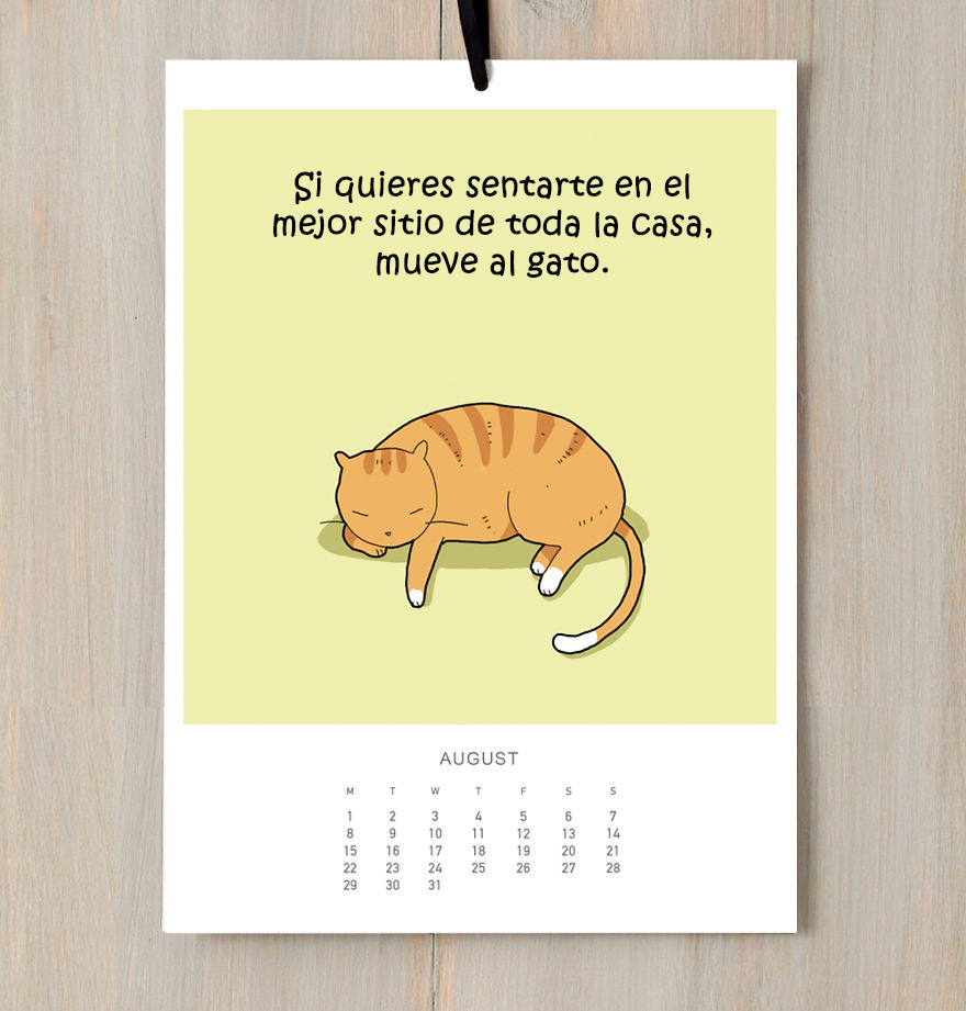 He creado un calendario de gatos para que sonrías todo el 2016