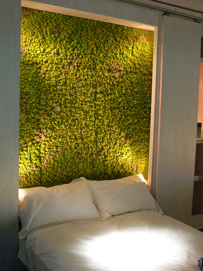 diseno-interior-paredes-musgo (12)