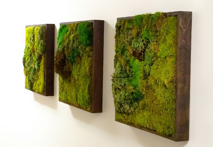 diseno-interior-paredes-musgo (13)