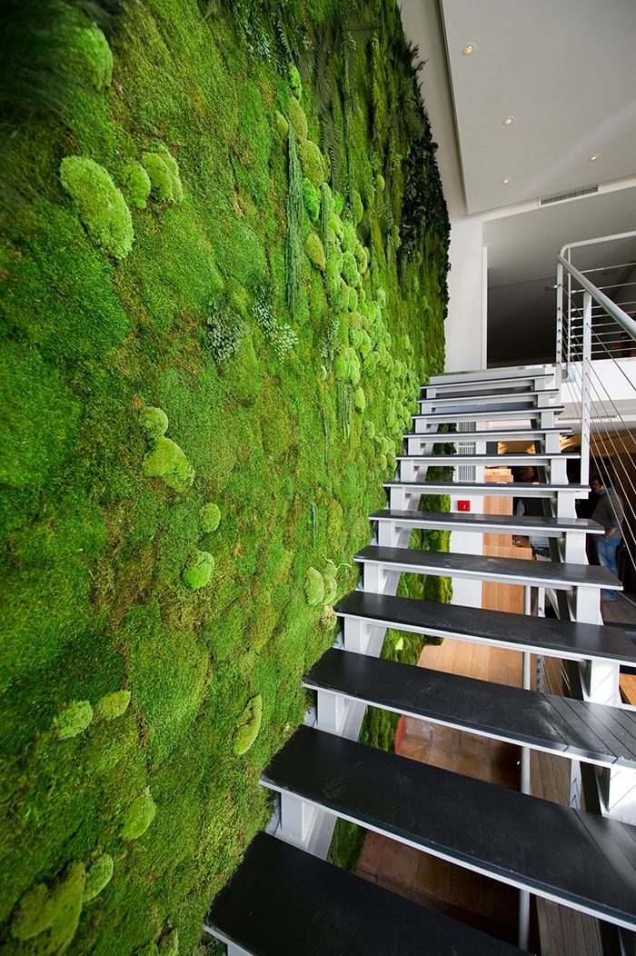 diseno-interior-paredes-musgo (20)
