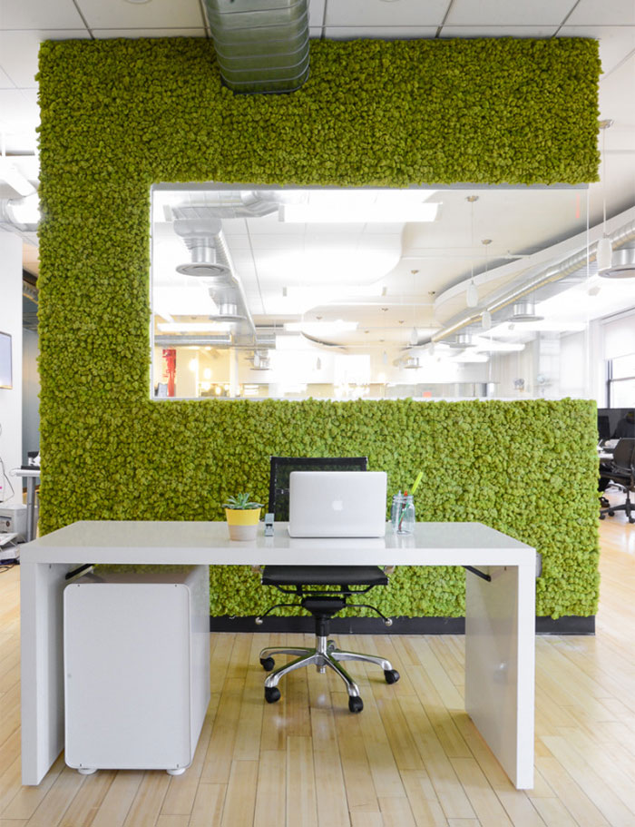 diseno-interior-paredes-musgo (8)