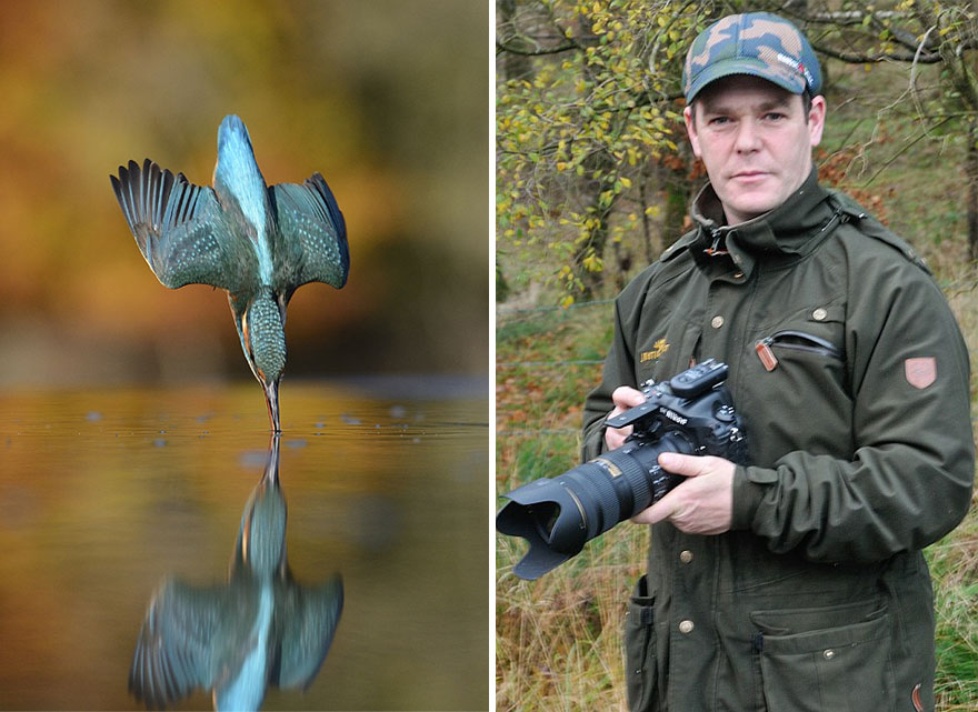 Tras 6 años y 720.000 intentos, este fotógrafo sacó la foto perfecta a martín pescador