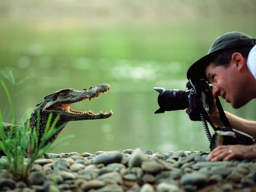 25 Razones por las que ser fotógrafo de la naturaleza es el mejor trabajo que puedes tener