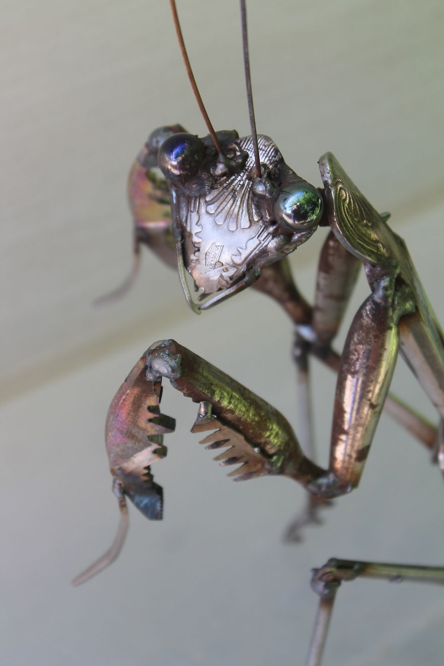 Transformo piezas de metal de desecho en animales