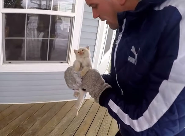 Una familia “resucita” a un gatito congelado que encontraron bajo la nieve