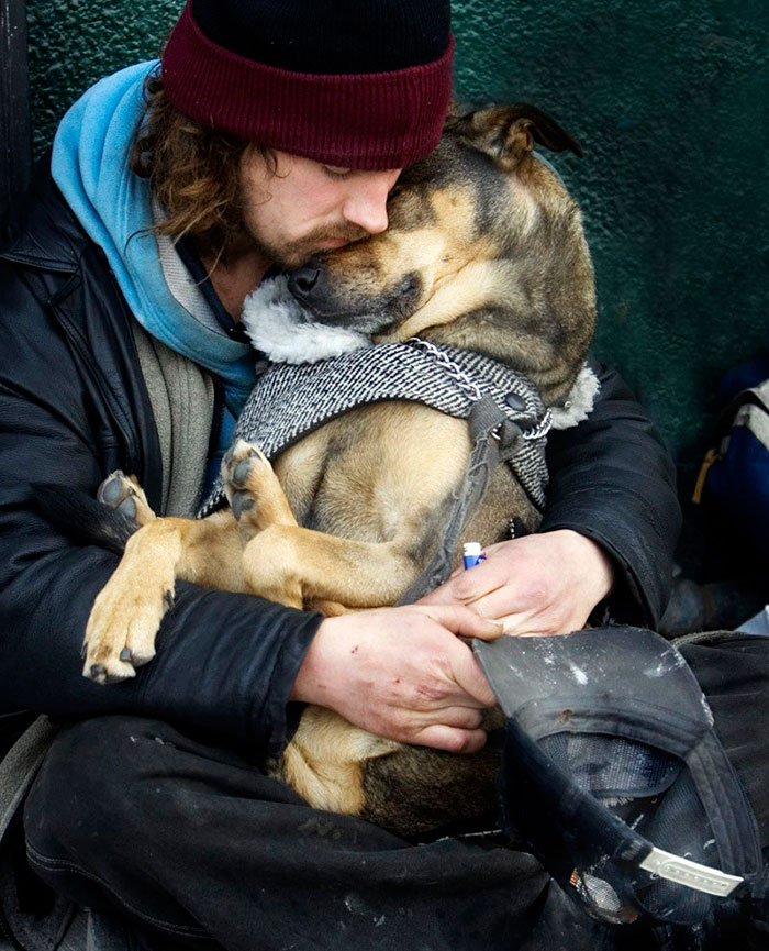 15 Fotos que demuestran que los perros te quieren sin importarles tu dinero