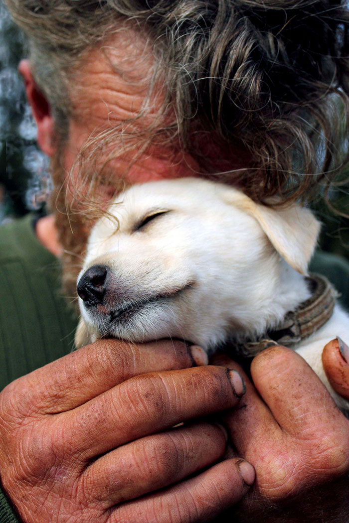 15 Fotos que demuestran que los perros te quieren sin importarles tu dinero