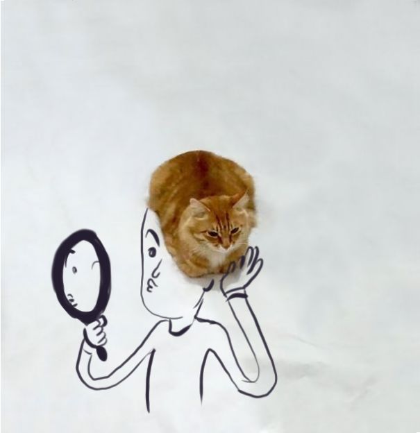 Reto: Dibuja sobre la foto de este gato para que viva nuevas aventuras