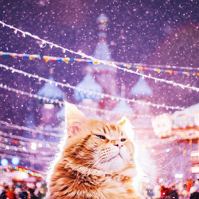 fotos-moscu-navidad-ortodoxa-kristina-makeeva (16)