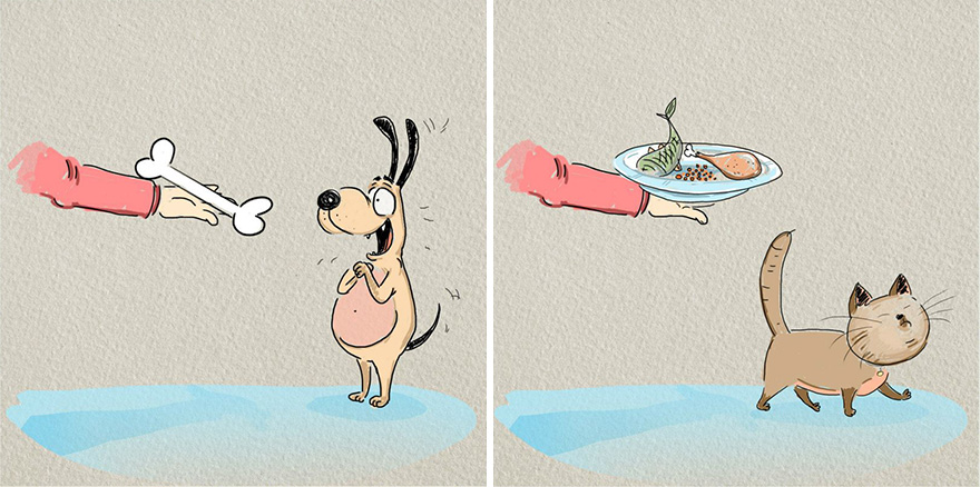 ilustraciones-diferencias-gatos-perros-bird-born (6)