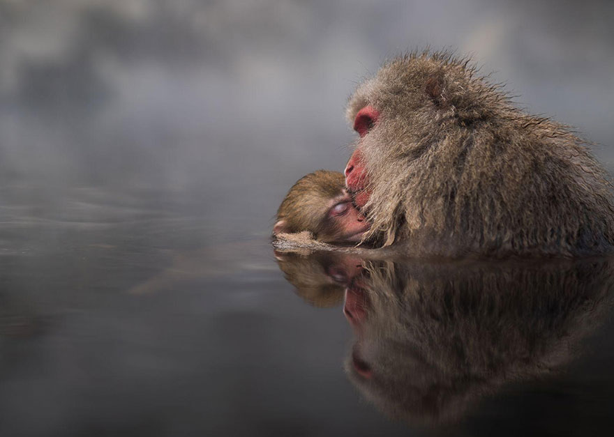 concurso-fotografia-viajes-national-geographic-2016 (14)