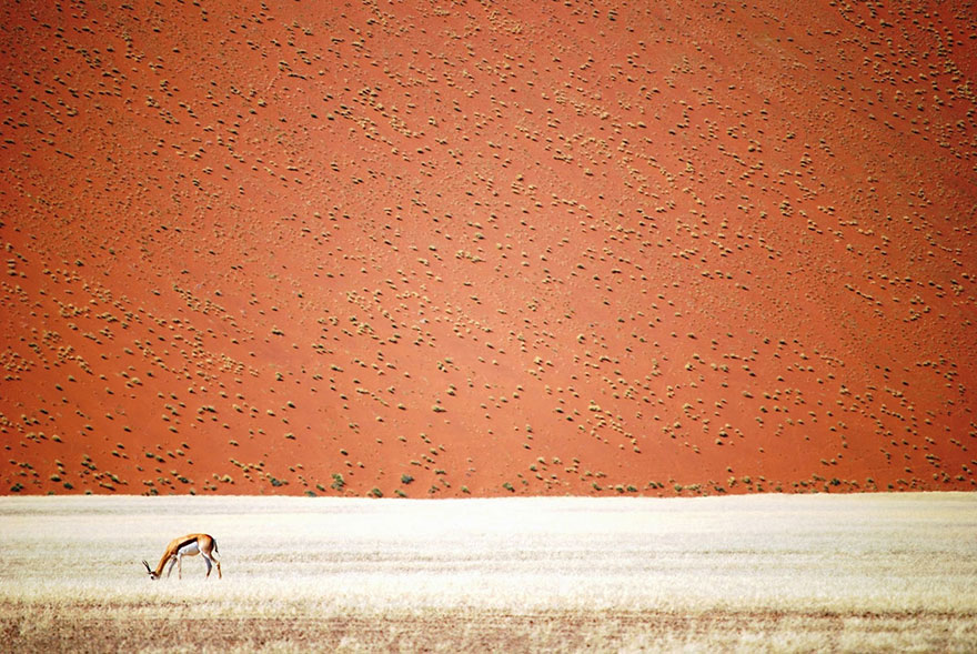 concurso-fotografia-viajes-national-geographic-2016 (18)