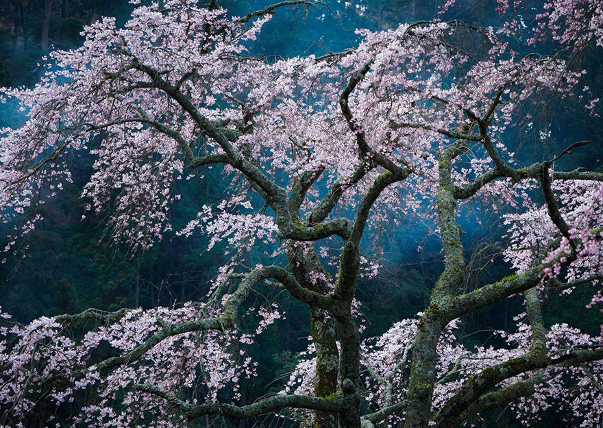 concurso-fotografia-viajes-national-geographic-2016 (9)