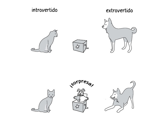 diferencias-introvertidos-extrovertidos-explicadas-liz-fosslien-mollie-west-2