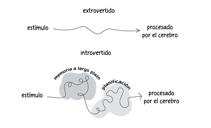 diferencias-introvertidos-extrovertidos-explicadas-liz-fosslien-mollie-west-4