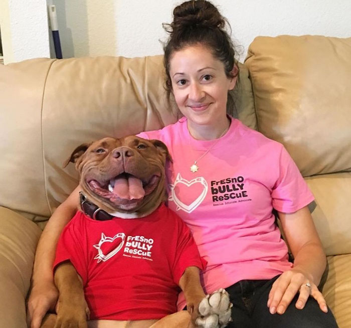 perro-pitbull-rescatado-sonrisa-instagram-meaty (1)