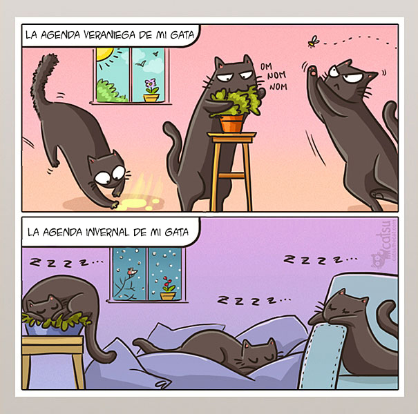 catsu10