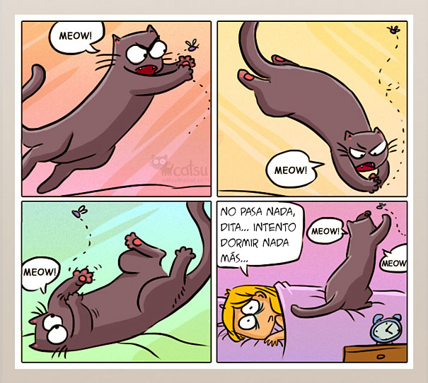 catsu11