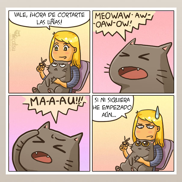 catsu12
