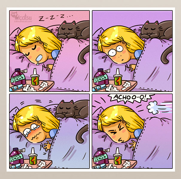 catsu13