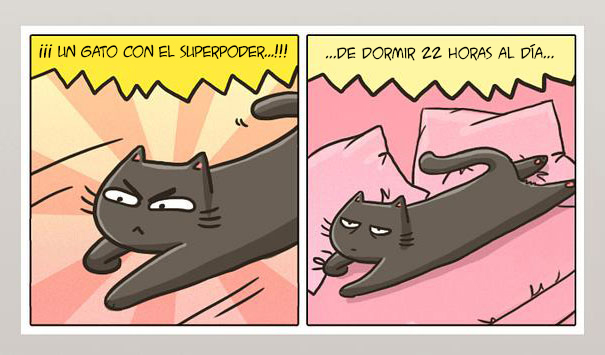 catsu5