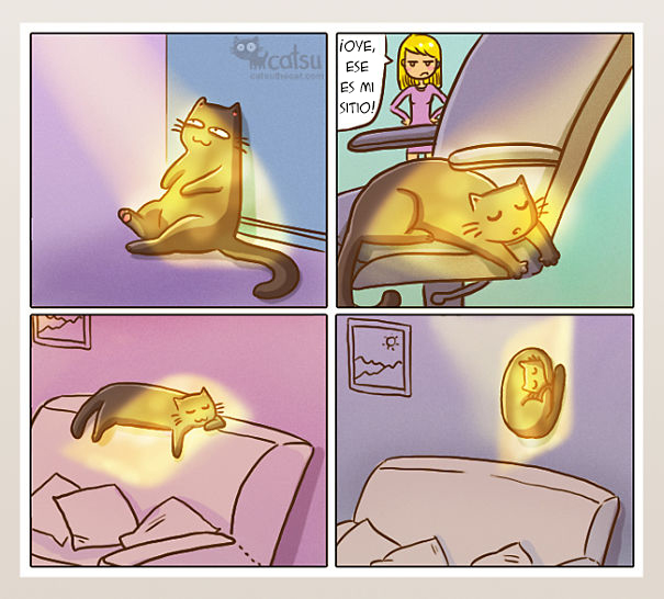 catsu6