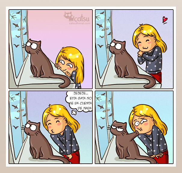 catsu8