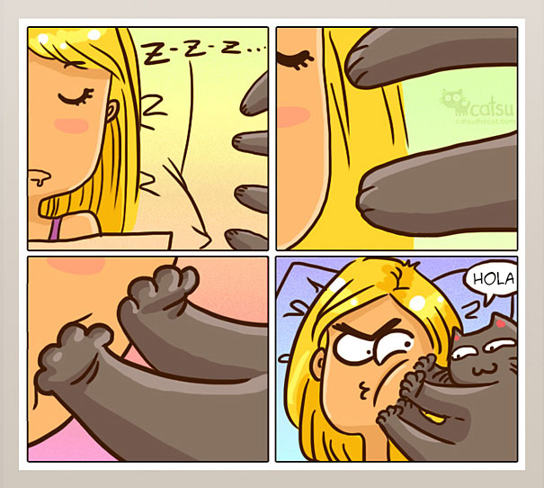 catsu9