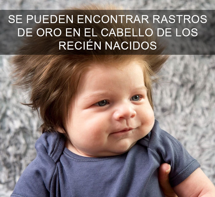 Datos-curiosos-11