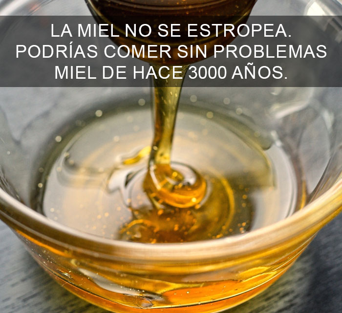 Datos-curiosos-2