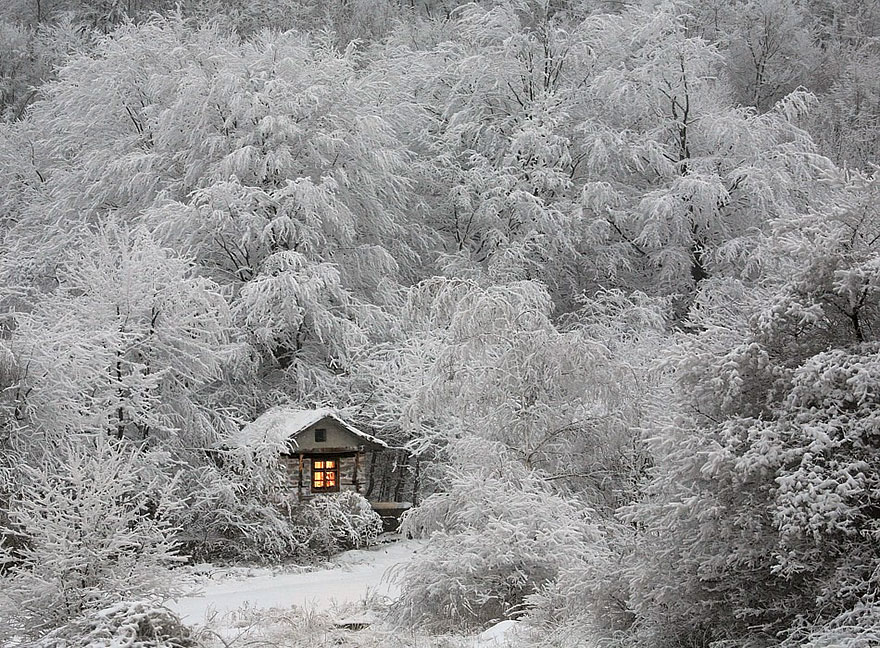 casas-aisladas-naturaleza-25__880