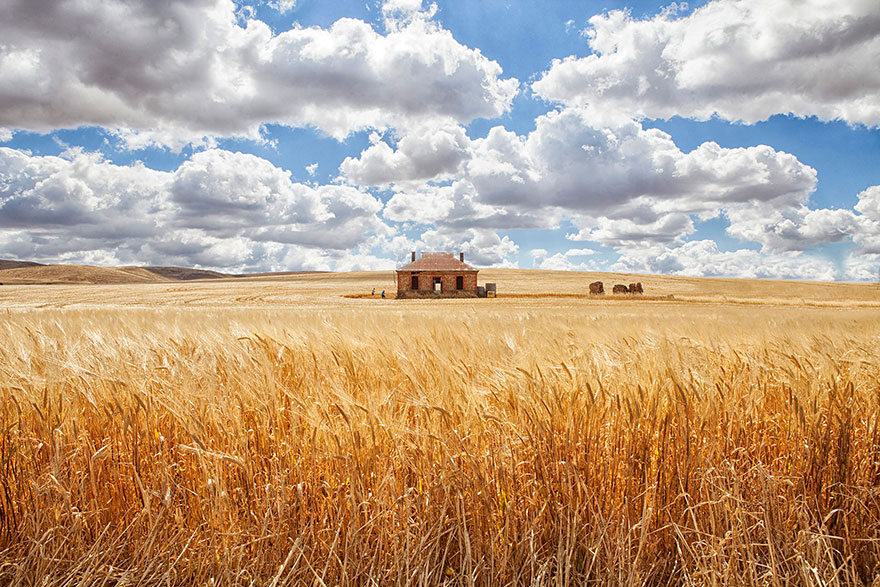 casas-aisladas-naturaleza-3__880