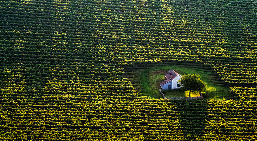 casas-aisladas-naturaleza-8__880