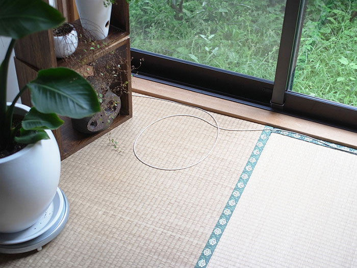 como-atrapar-gato-en-circulo-1