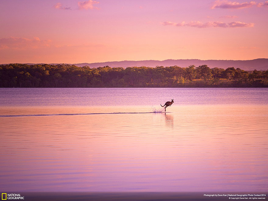 concurso-fotografico-national-geographic-2014-1