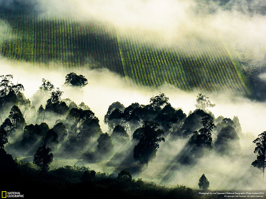 concurso-fotografico-national-geographic-2014-10