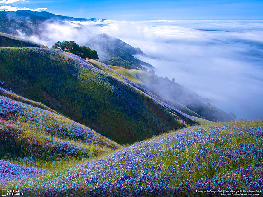 concurso-fotografico-national-geographic-2014-12