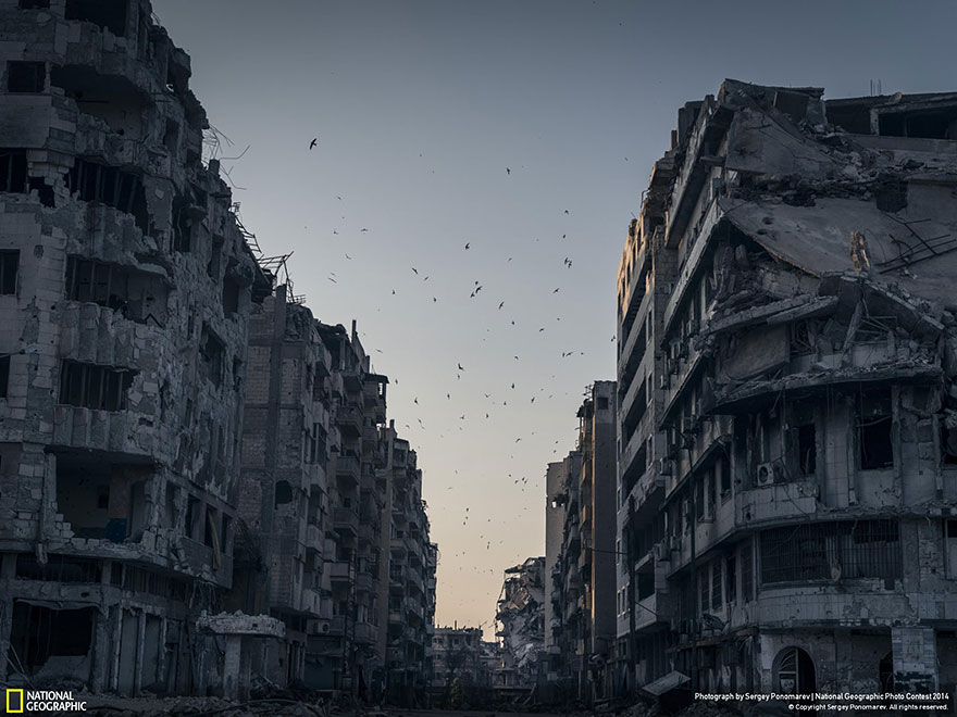 concurso-fotografico-national-geographic-2014-3