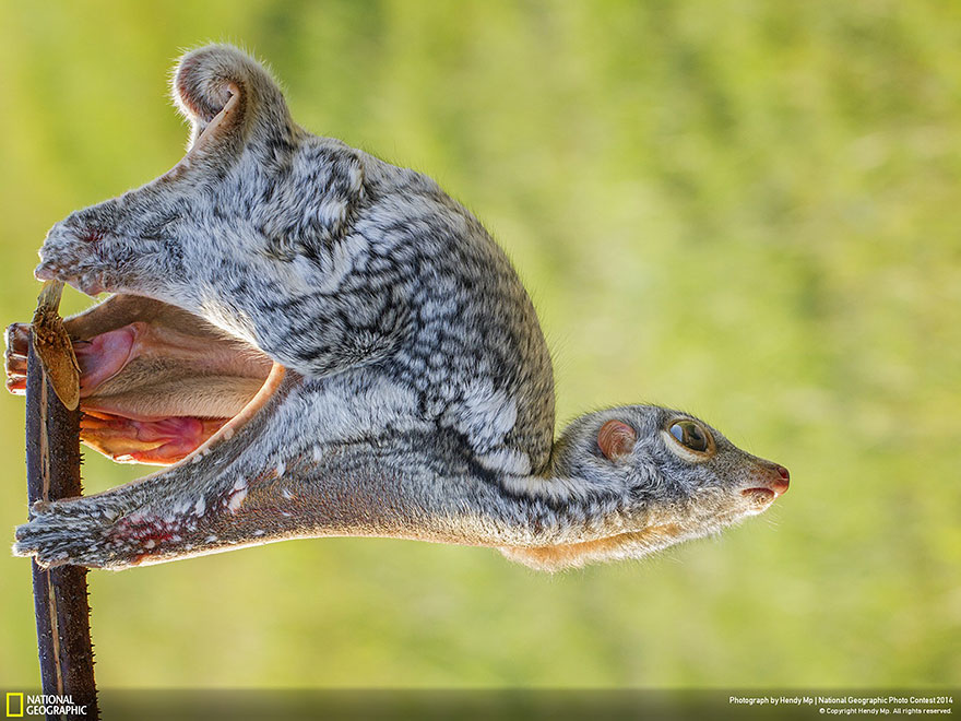 concurso-fotografico-national-geographic-2014-5
