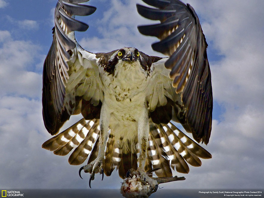 concurso-fotografico-national-geographic-2014-6