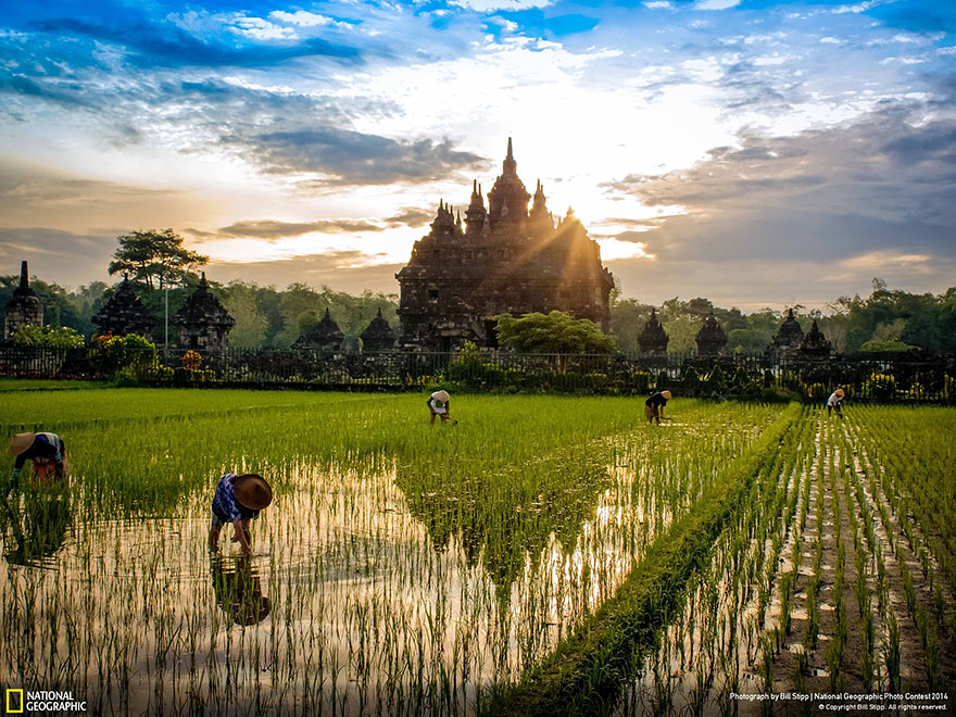 concurso-fotografico-national-geographic-2014-9