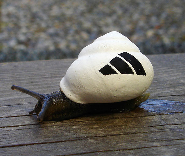decorar-conchas-caracoles-15