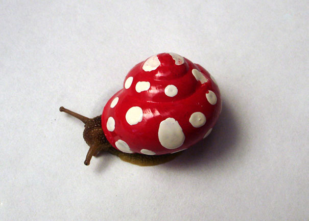 decorar-conchas-caracoles-23