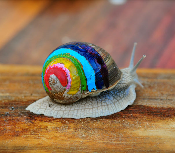 decorar-conchas-caracoles-9